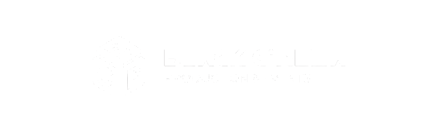 Black Cinema Production & Events